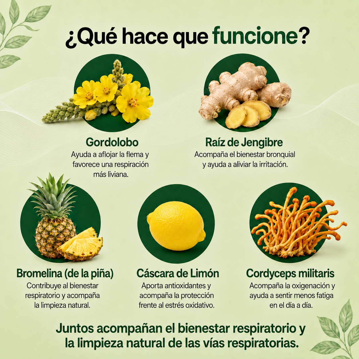 RESPIREX® – Pecho más liviano, respiración más libre.